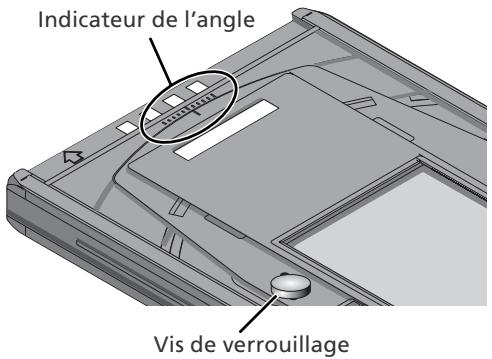 NIKON SUPER COOLSCAN LS-9000 ED - Insérez le film - 2