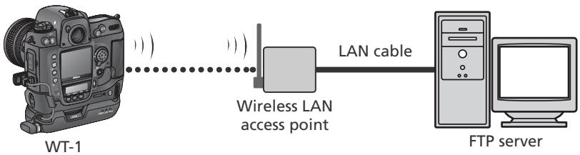 NIKON WT-1 - Building a Network - 1