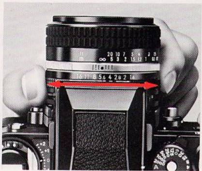 NIKON F3 HIGH-EYEPOINT - L'intérieur du viseur - 1