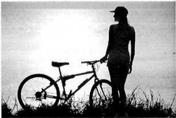 NIKON F90X-FR - PROGRAMME SILHOUETTE - 2