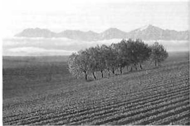 NIKON F90X-FR - PROGRAMME PAYSAGE - 2