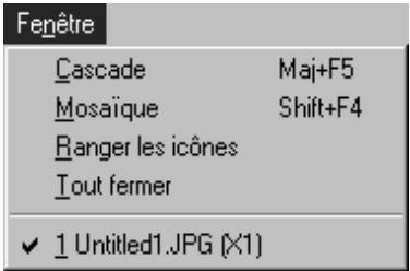 NIKON CONTROL - A.8 menu fenêtre - 1