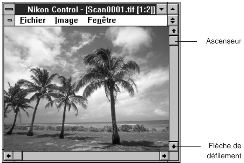 NIKON CONTROL - Défilament de l'image - 3