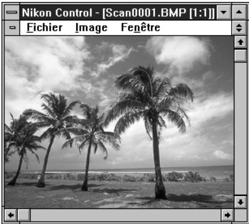 NIKON CONTROL - Acquisition de l'image - 3