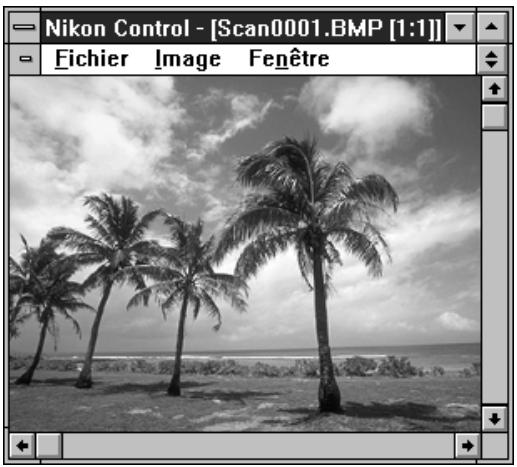 NIKON CONTROL - Pour commencer - 1