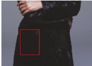 NIKON COOLSCAN V - Des fonctions évolutives pour des images de haute qualité - 3