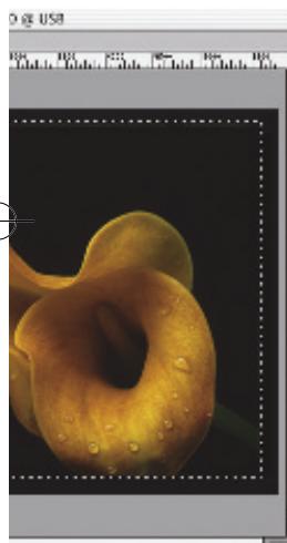 NIKON COOLSCAN V - et convivial - 1