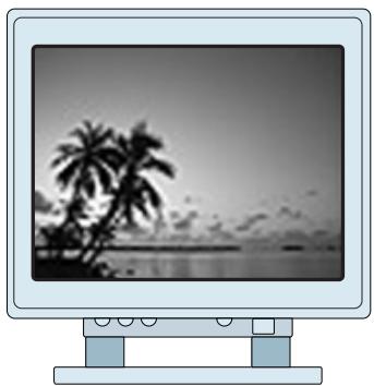 NIKON LS-20I - Fonctionnement - 6