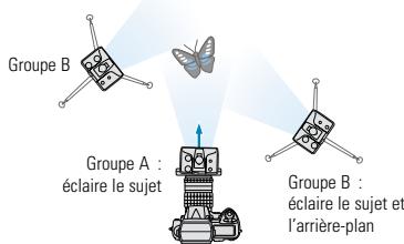 NIKON REMOTE KIT R1 - Avivez votre sujet pour le rendre plus beau et plus naturel - 1