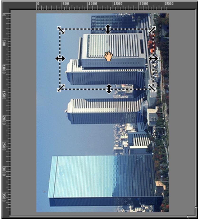 NIKON SCAN 2 - Modification de la taille de la zone de cadrage - 1