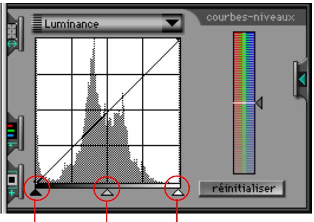 NIKON SCAN 2 - Chaîne de luminance - 1