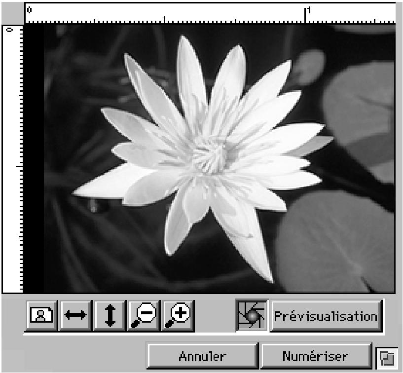NIKON SCAN MACINTOSH - Boutons de la zone Prévisualisation/recadrage - 1
