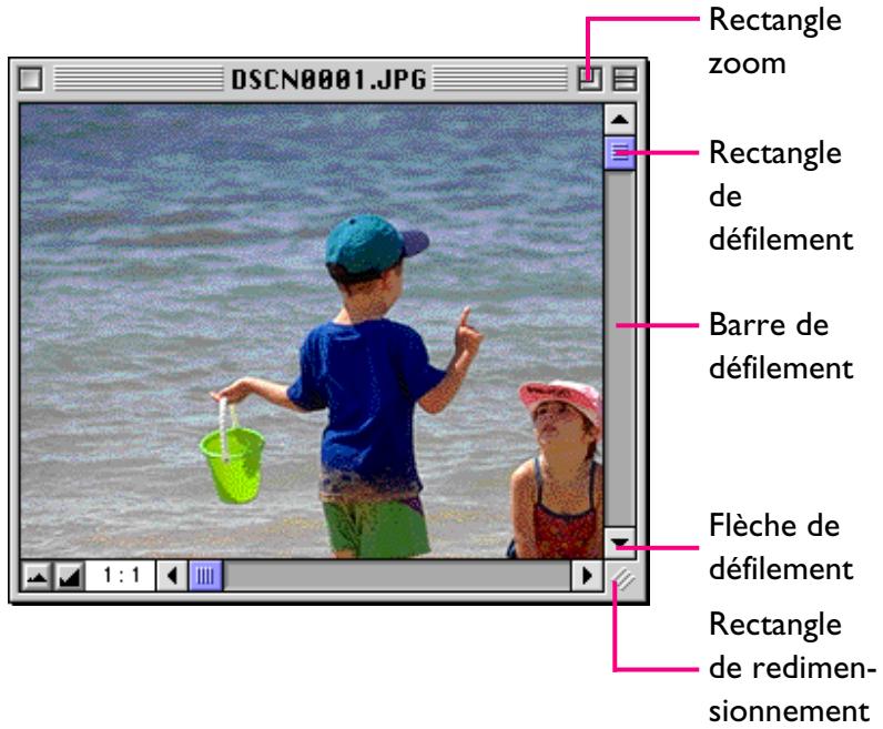 NIKON VIEW 3 - Déplacement dans les fenêtres d'images et redimensionnement - 1