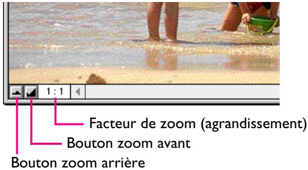 NIKON VIEW 3 - Zoom avant et zoom arrêté dans une image - 1