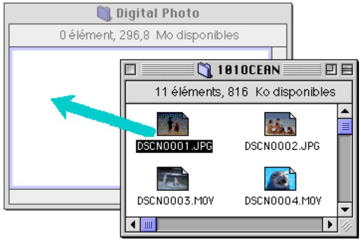 NIKON VIEW 3 - Copie des fichiers images sur le disque dur - 1