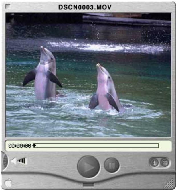 NIKON VIEW 3 - QuickTime Player - 3