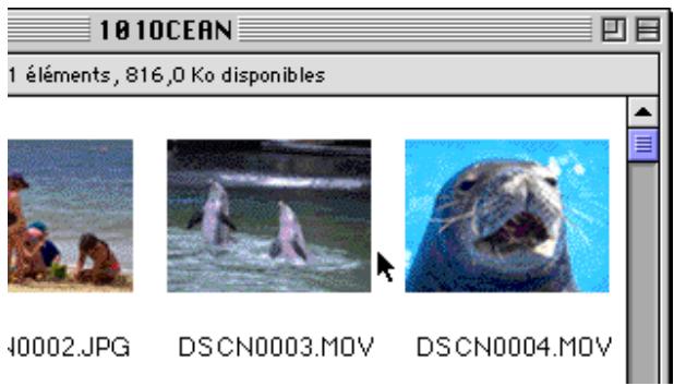 NIKON VIEW 3 - QuickTime Player - 1