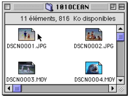 NIKON VIEW 3 - Ouvrir les fichiers images sélectionnés dans le dossier d'images - 1