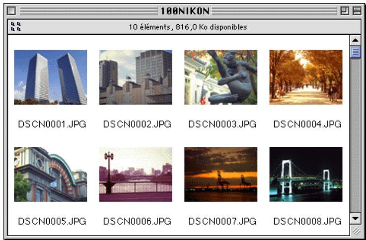 NIKON VIEW 3 - Visualisation des fischiers images à partir d'un lecteur de carte - 5