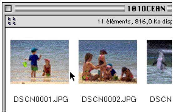 NIKON VIEW 3 - Visualisation d'images à l'aide de la visionneuse intégrée - 3