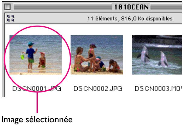 NIKON VIEW 3 - Sélection de fichiers images - 1