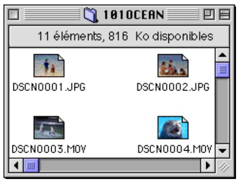 NIKON VIEW 3 - Noms des dossiers - 3