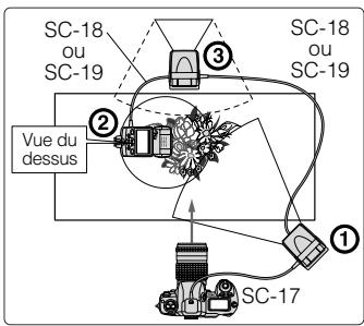 NIKON SB-80DX - Exemples de photographies et position des flashes - 1