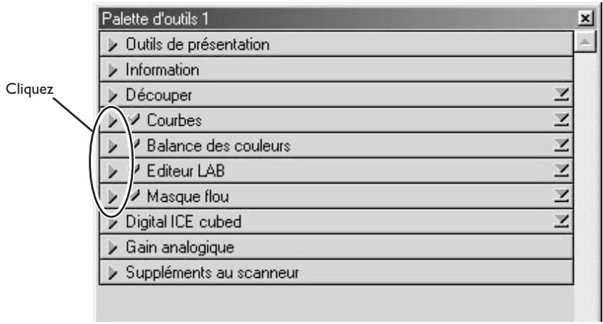 Palette d'outils 1 Outils de présentation Information Découper Courbes Balance des couleurs Editeur LAB Masque flou Digital ICE cubed Gain analogique Suppléments au scanneur Cliquez