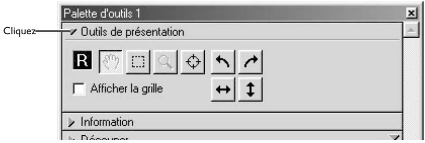 Palette d'outils 1 Cliquez Outils de présentation R Afficher la grille Information Déprémer