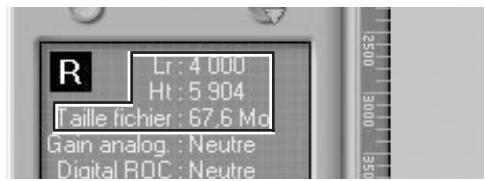 R Lr: 4 000 Ht: 5 904 Taille fichier: 67.6 Mo Gain analog.: Neutre Digital RPC: Neutre