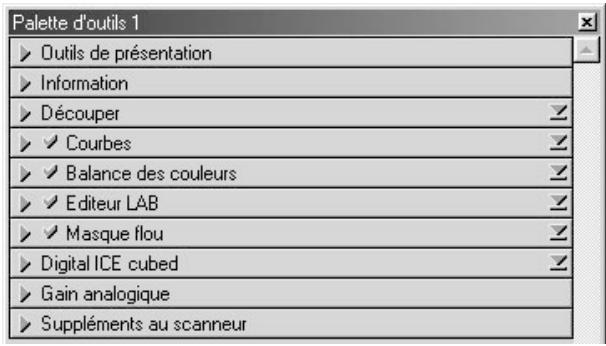 Palette d'outils 1 ► Outils de présentation ► Information ► Découper ► ✓ Courbes ► ✓ Balance des couleurs ► ✓ Editeur LAB ► ✓ Masque flou ► Digital ICE cubed ► Gain analogique ► Suppléments au scanneur