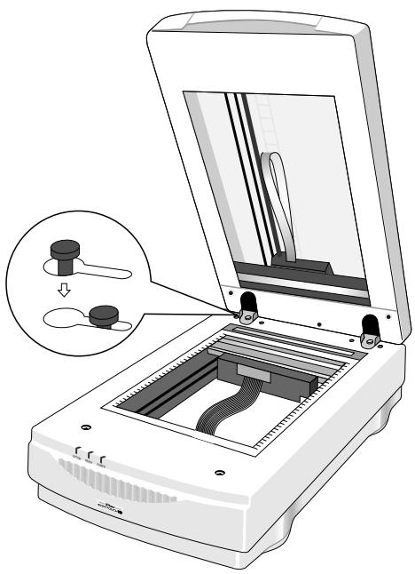 NIKON TRANSPARENCY UNIT - Étape 4 - 2