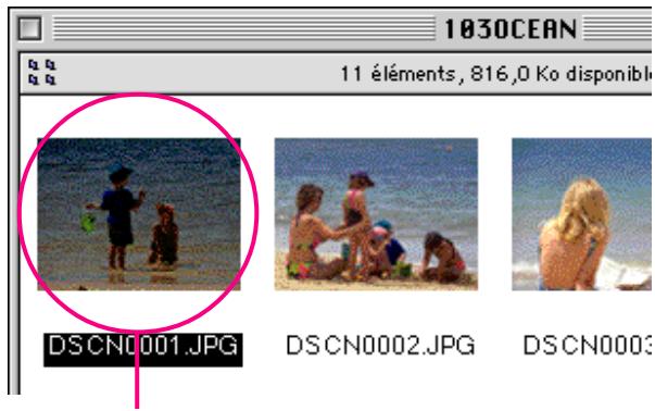 NIKON VIEW 2.5 - Sélection d'images - 1