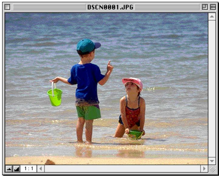 NIKON VIEW 2.5 - Visualisation d/images dans la visionneuse intégrée - 4