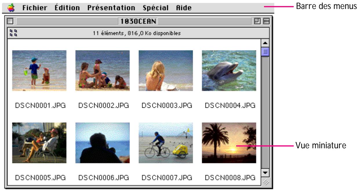 NIKON VIEW 2.5 - La fenêtre de lecture - 1
