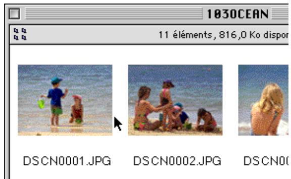 NIKON VIEW 2.5 - Visualisation d/images dans la visionneuse intégrée - 3