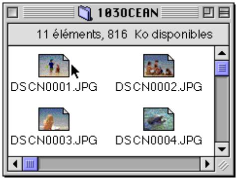 NIKON VIEW 2.5 - Ouverture d'images selectionnées dans le dossier d'images - 1