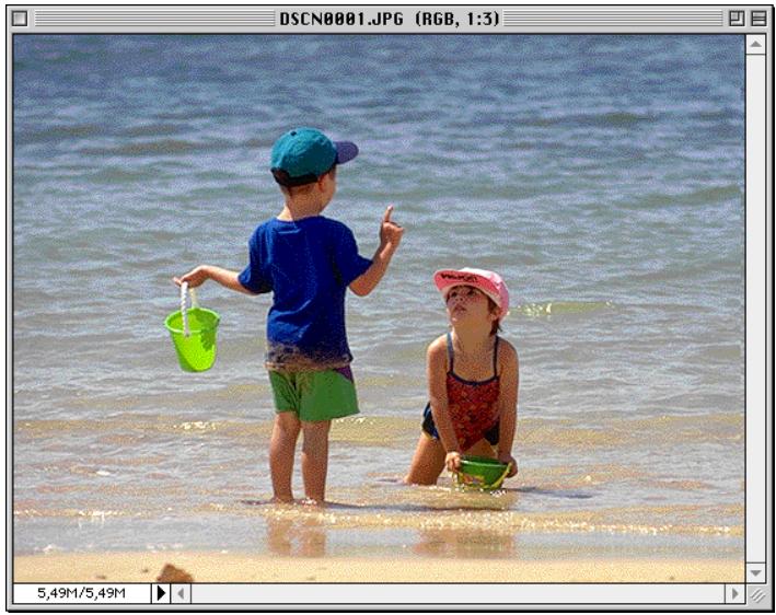 NIKON VIEW 2.5 - Ouverture d'images selectionnées dans le dossier d'images - 2
