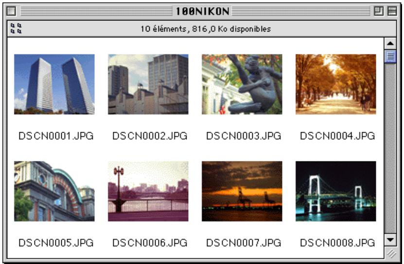 NIKON VIEW 2.5 - A noter - 2