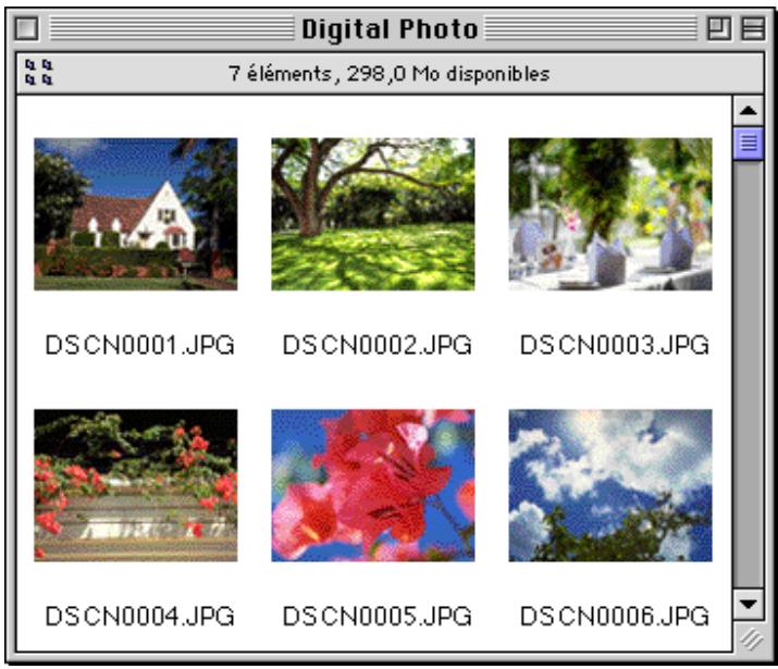 NIKON VIEW 2.5 - Lecture des images sur le disque dur - 2