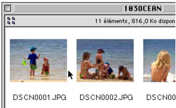 NIKON VIEW 2.5 - Ouverture d'images sélectionnées à partir de Nikon View Browser - 3