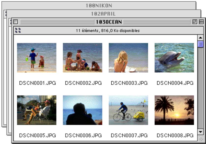 NIKON VIEW 2.5 - Lecture des images dans votre apparéil photo - 2
