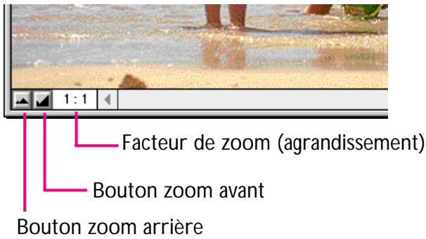 NIKON VIEW 2.5 - Zoom avant et zoom arrêté dans une image - 1