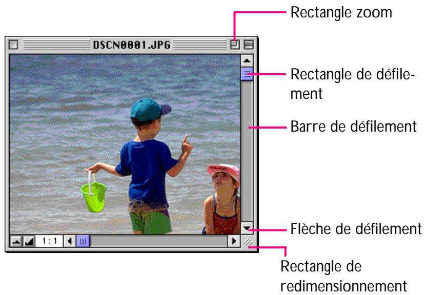 NIKON VIEW 2.5 - Déplacement dans la fenêtre d'image et redimensionnement - 1
