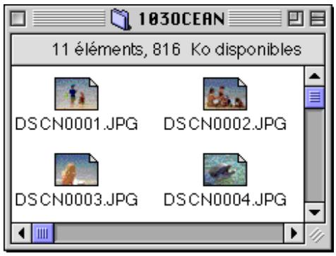 NIKON VIEW 2.5 - Noms des dossiers - 1