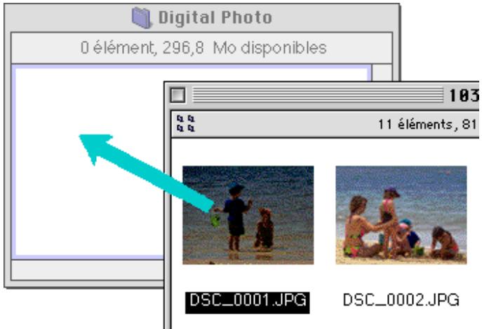 NIKON VIEW DX - Copie d'images sur disque - 1