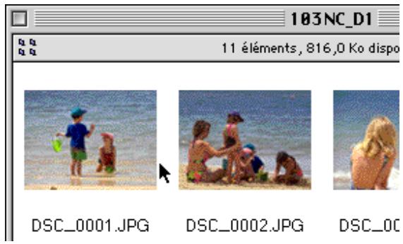 NIKON VIEW DX - Astuces - 3
