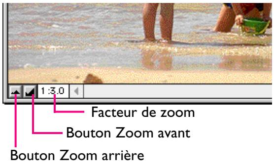 NIKON VIEW DX - Effectuer un zoom avant ou arrêté sur l'image - 1