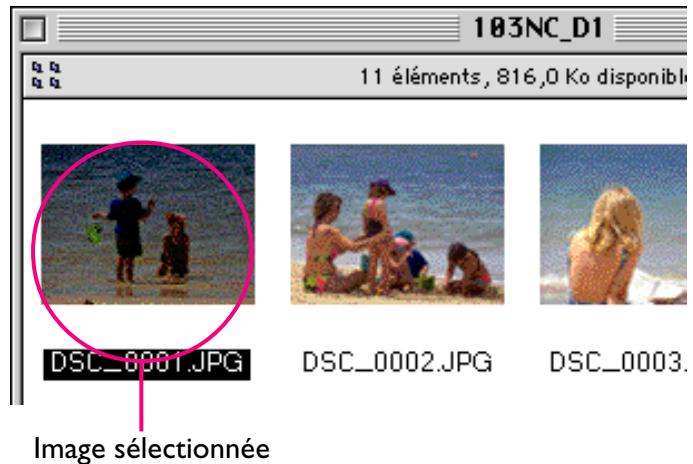 NIKON VIEW DX - Sélection d'images - 1