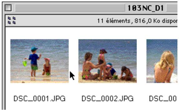 NIKON VIEW DX - Visualisation des images à l'aide de l'afficheur intégré - 3